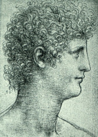 A portrait of a boy suspected to be Salaì by Leonardo da Vinci