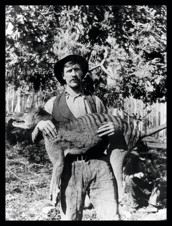 A black and white photo of a man holding the corpse of a thylacine.